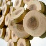 Cedar Wood Tree Branch Slic..
