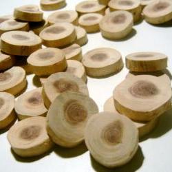 Cedar Wood Tree Branch Slices 150 piece Wholesale Lot