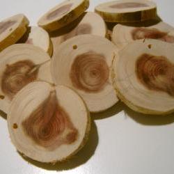 20 Cedar Tree Branch Slices Drilled DIY Wedding