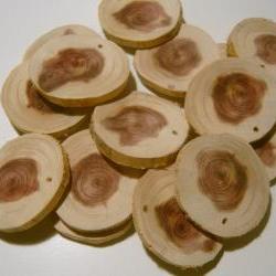 75 Cedar Tree Branch Circles Drilled DIY Wedding